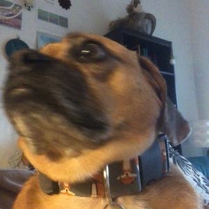 Meet your Posher, Derek